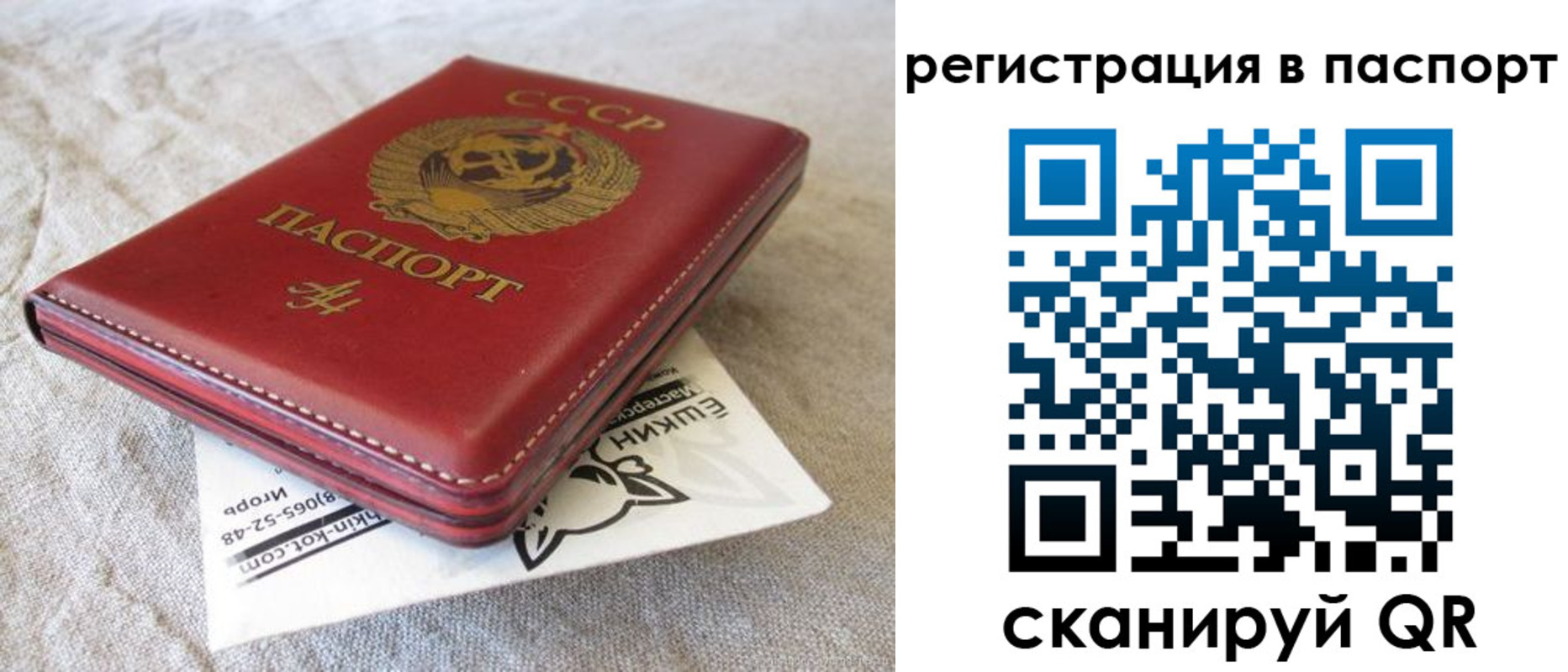 где прописаться в Первомайске